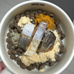 베스트 후기 이미지
