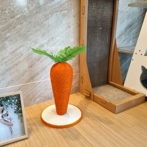 베스트 후기 이미지