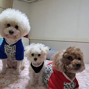 베스트 후기 이미지