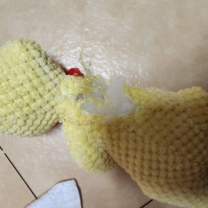 [무료배송] 도그아이 봉제 인형 대형 치킨 3개입   베스트 후기 이미지