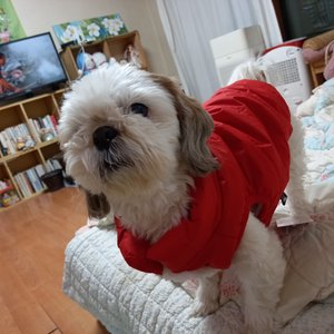 베스트 후기 이미지