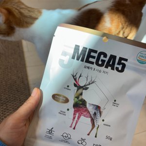 베스트 후기 이미지