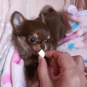 베스트 후기 이미지