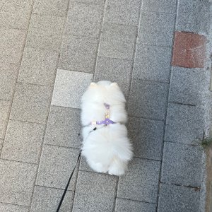베스트 후기 이미지