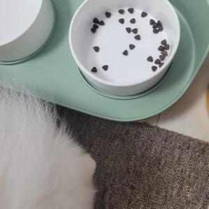 라포그 독 리얼인섹트 조인트케어 4kg 베스트 후기 이미지