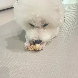 베스트 후기 이미지