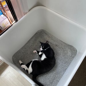 베스트 후기 이미지