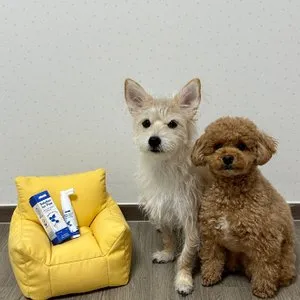 베스트 후기 이미지