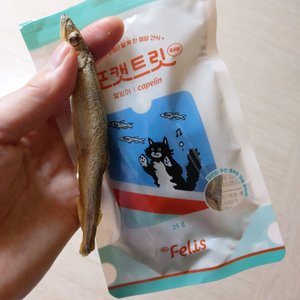 베스트 후기 이미지