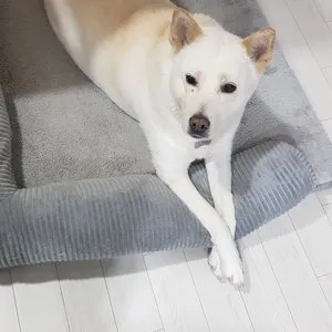 베스트 후기 이미지