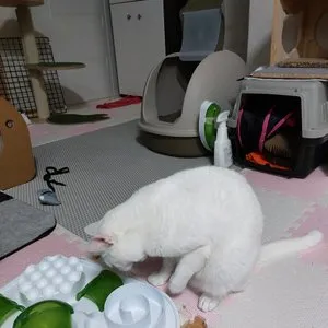 베스트 후기 이미지