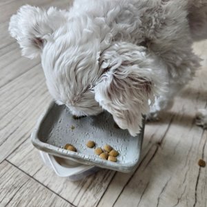 베스트 후기 이미지