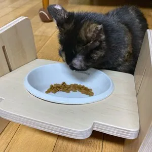 베스트 후기 이미지