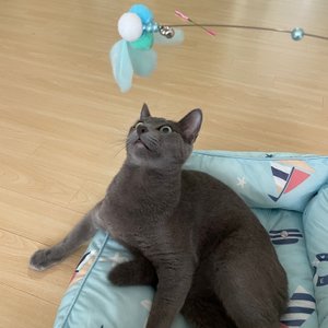 베스트 후기 이미지
