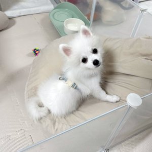 베스트 후기 이미지