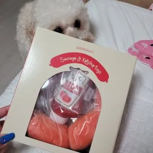 베스트 후기 이미지