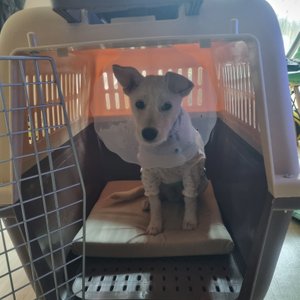 베스트 후기 이미지
