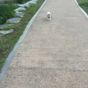 베스트 후기 이미지