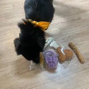 베스트 후기 이미지