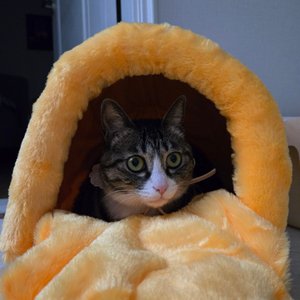 베스트 후기 이미지