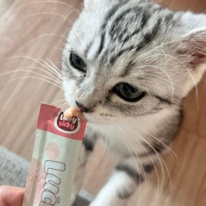 베스트 후기 이미지