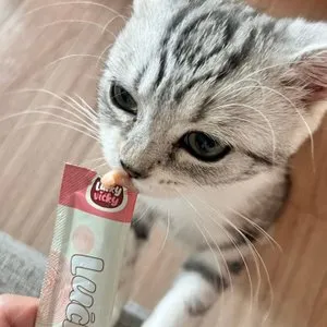 베스트 후기 이미지