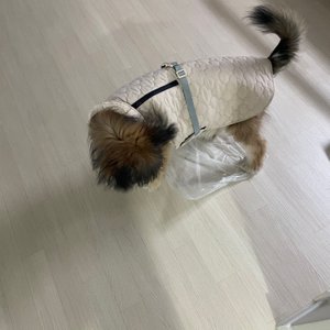 베스트 후기 이미지