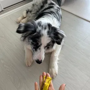 베스트 후기 이미지