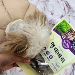 후코홀릭 독 명태베리 100g 베스트 후기 이미지