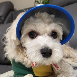 베스트 후기 이미지