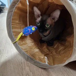 베스트 후기 이미지