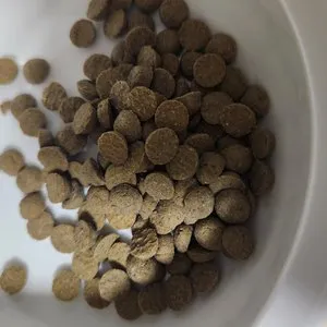 베스트 후기 이미지