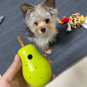 베스트 후기 이미지