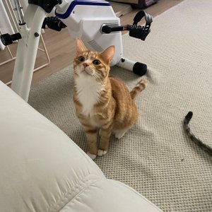 베스트 후기 이미지