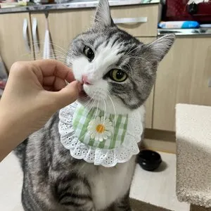 베스트 후기 이미지