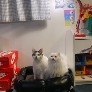 베스트 후기 이미지