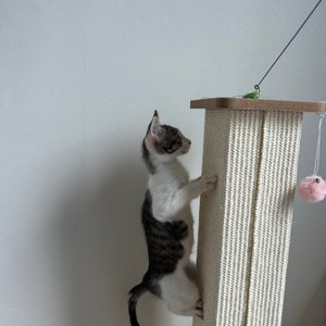 베스트 후기 이미지