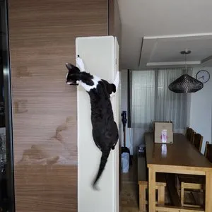 베스트 후기 이미지