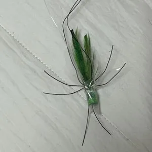 베스트 후기 이미지