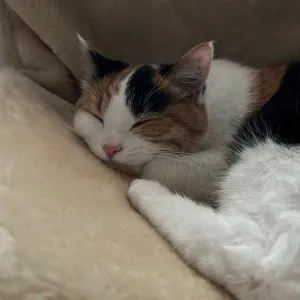 베스트 후기 이미지