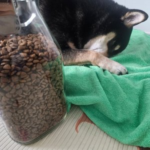 베스트 후기 이미지
