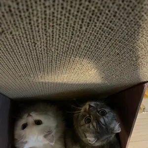 베스트 후기 이미지