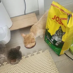 베스트 후기 이미지