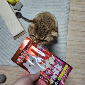 베스트 후기 이미지