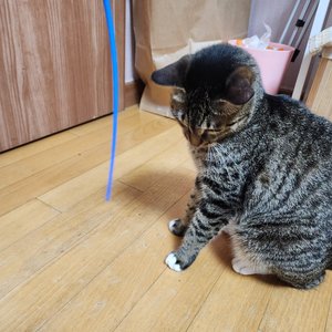 베스트 후기 이미지