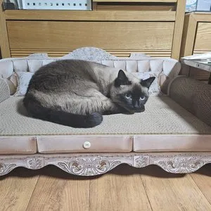 베스트 후기 이미지