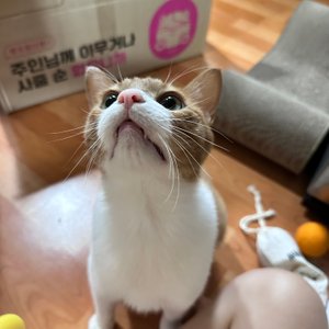 베스트 후기 이미지