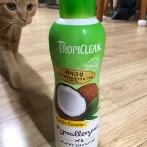 베스트 후기 이미지