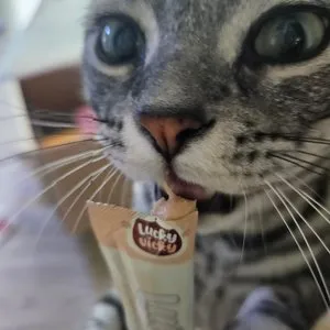 베스트 후기 이미지