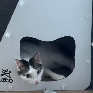 베스트 후기 이미지